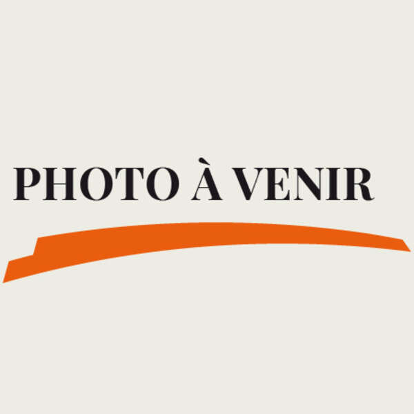 Crevettes aigre et piquante