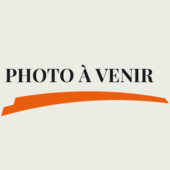 Crevettes aigre et piquantes